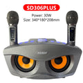 SDRD Sd306plus 30W Home Theater Sound PA System Portable Bluetooth Speakers With Two Wireless Microphones Set TV Karaoke Player