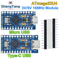 TZT MICRO/MINI/TYPE-C USB ATMEGA32U4 Module 5V 16MHz Board For Arduino ATMEGA32U4-AU/MU Controller Pro-Micro Replace Pro Mini