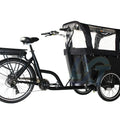 250 Watt 3 Wheel Electric Cargo Bike Mid Motor Electric Tricycles 3 Wheel electric cargo bike for Family