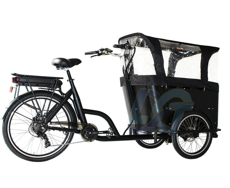 250 Watt 3 Wheel Electric Cargo Bike Mid Motor Electric Tricycles 3 Wheel electric cargo bike for Family