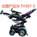 Handicap Automatic Lift Electric with Electric Brakes
