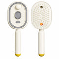 Electric Spray Air Cushion Comb for Women Retractable Hair Massage Brush for Thick Fine Curly Hair Electric Steam Brush for Hair