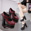 Women Mary Jane Shoes Trendy Comfortable Women's Shoes 2024 New Thick Heel Platform Women's High Heels