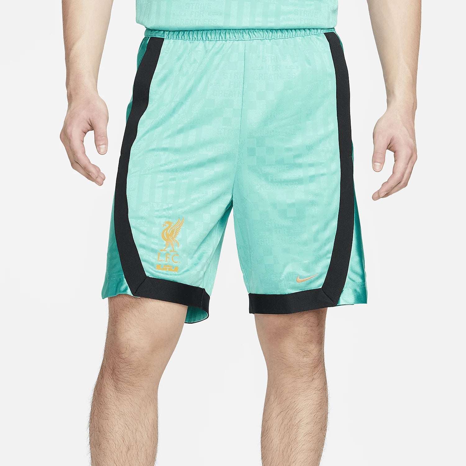Nike genuine Dri FIT DNA men's James basketball shorts FN3013-392