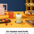 HOMEFISH New Student Home Use Multi-Function Juice Maker Portable Rechargeable Small Juice Cup