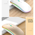 HOMEFISH PHONEPACE Dual Mode Wireless Mouse 2.4G Bluetooth Rechargeable Silent LED Backlit Optical Mice for PC Laptop