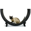 Multi-Functional Silent Cat Treadmill Pet Exercise Machine Claw Sharpening Track for Cats