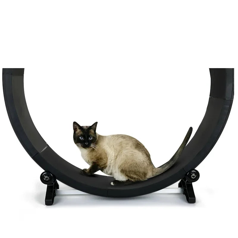 Multi-Functional Silent Cat Treadmill Pet Exercise Machine Claw Sharpening Track for Cats