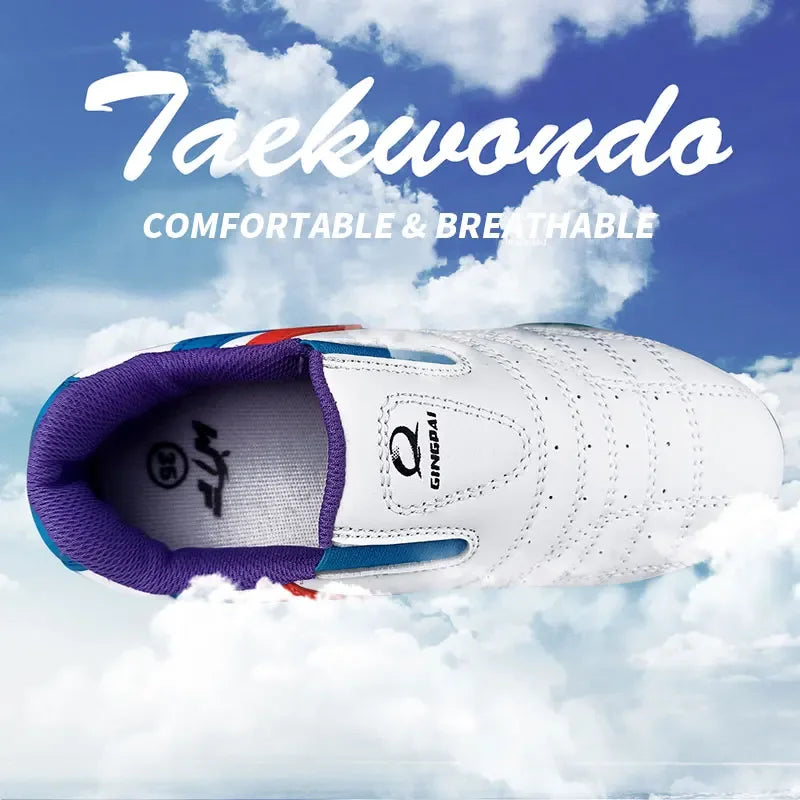 Chinese Wushu Shoes Tai Chi PU Leather Kungfu Taiji | SAMAG