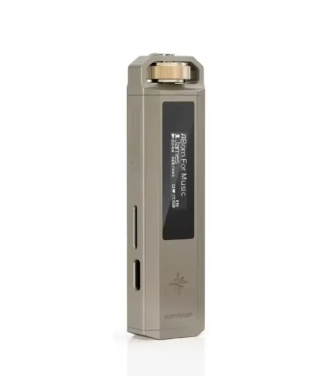 FiiO SnowSky ECHO NANO Portable Lossless HiFi Music Player High Resolution DAP MP3 Player High Res Sound For Audiophiles