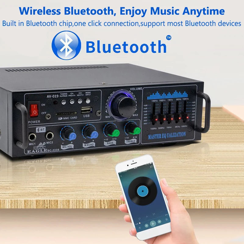 High Power Amplifier 2.0 Channel Audio Home Theater Amplifiers DC 12V 110V/220V Support FM SD USB Dual Mic Bluetooth Remote