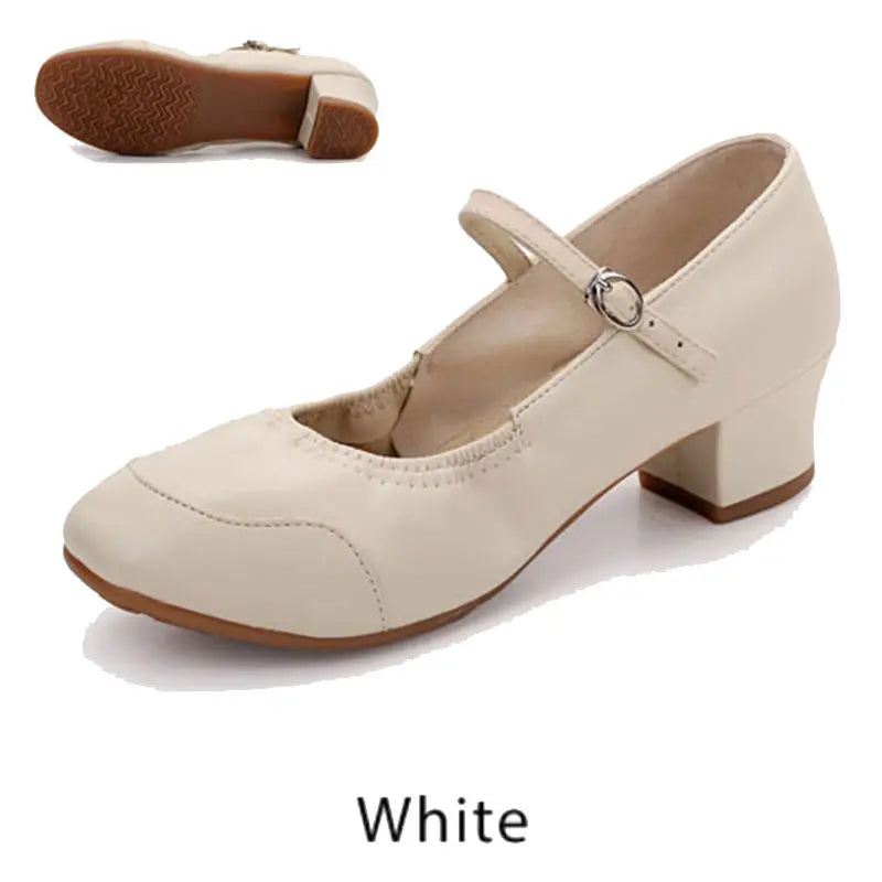 Dance Shoes Women Low-heeled Square Dancing Shoes Latin Salsa Dance Shoe Soft Sole Outdoor Dance Sneakers Spring Size 34-42