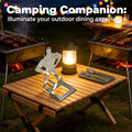 Portable Sausage Grill Basket, Stainless Steel Hot Dog Roaster Rack for Sausages, Marshmallows Vegetables Foldable & Lightweight