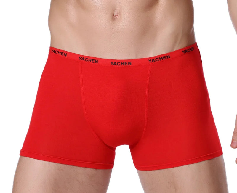 Bamboo Male Panties Sexy Underwear Men Cuecas Boxer New Fashion Boxer Shorts Mens Underware 4pcs/lot Free Shipping