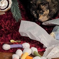New Soft Q Tip Cat Self-Play Giant Swabs Shape Cotton Swab Shape Cat Durable Bite-Resistant Interactive Cat Indoor Cats
