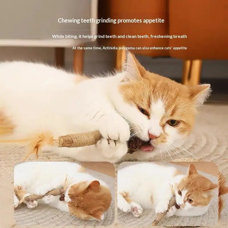 NEW 1/2PCS Cat Toys Made Of Wood Knotweed Teething Sticks Insect Galls Raffia Sisal Rope Teeth Cleaning Toys Cat Teasing Sticks