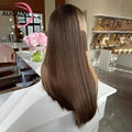 Transparent Chestnut Brown Lace Front Human Hair Wigs Highlight Straight HD Lace Frontal Wig 13x6 360 Lace Front Wig Human Hair