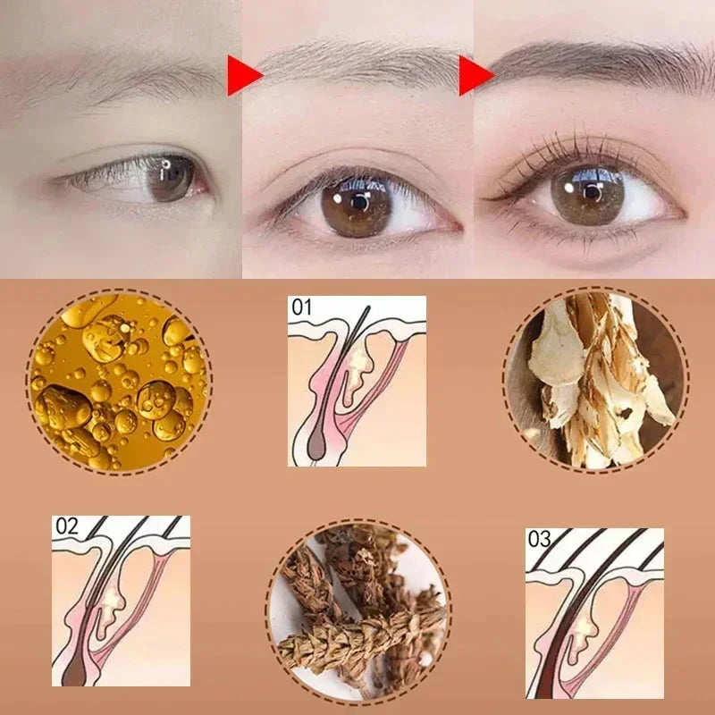 Fast Eyelash Growth Serum Eyebrow Hair Growth Anti Hairs Loss Product Prevent Baldness Fuller Thicker Lengthening Eyebrow Makeup
