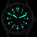 BERNY Titanium Automatic Men's Field Watches Date Sapphire Super Luminous Sports Easy Read Outdoor 10ATM Mechanical Watch