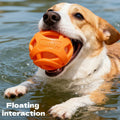 Durable Hollow Elastic Dog Chew Ball Interactive Teeth Cleaning Molar Toy Fetch Ball for Small to Medium Sized Dogs