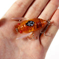 4cm/5.5g Bionic Cicada Hard Bait Fishing Lure Simulation - View 15 | SAMAG