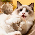Cat Bunny-kick Ball Furry Ball Cat Toy Soft Fluffy Rabbit Fur Pom Pom Balls Washable Indoor Exercise Toy Stimulates Hunting Play