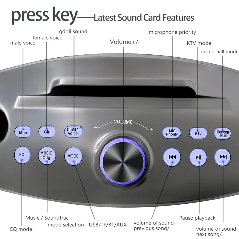 SDRD Sd306plus 30W Home Theater Sound PA System Portable Bluetooth Speakers With Two Wireless Microphones Set TV Karaoke Player