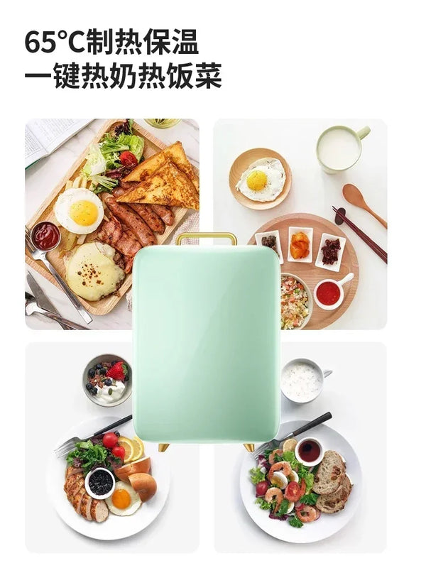 Summer New Mini Car Refrigerator Small Mini Warm & Cold Cooler Car Dual-Use Dormitory Student Single Cosmetics preservation220V