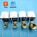 Tuya Zigbee Timer Automatic Irrigation Watering Controller Water Valve Garden Wifi APP Remote Control DN15 To DN32