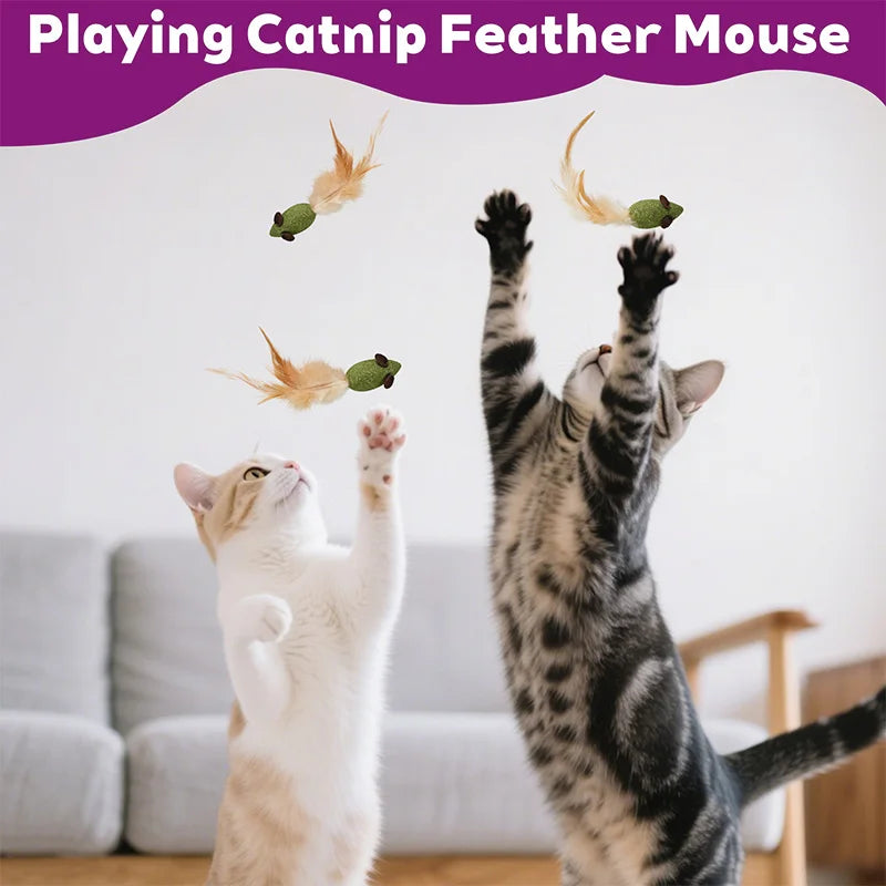 Mouse Cat Toys Catnip Feather Ball Self Cleaning Teeth Interactive Home Chasing Game Toy Products Cat Mint Ball Training Toys