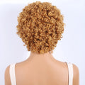 Lekker Black Short Pixie Cut Curly Bob 100% Human Hair Wigs For Women Brazilian Remy Hair Full Machine Made Glueless Daily Wigs