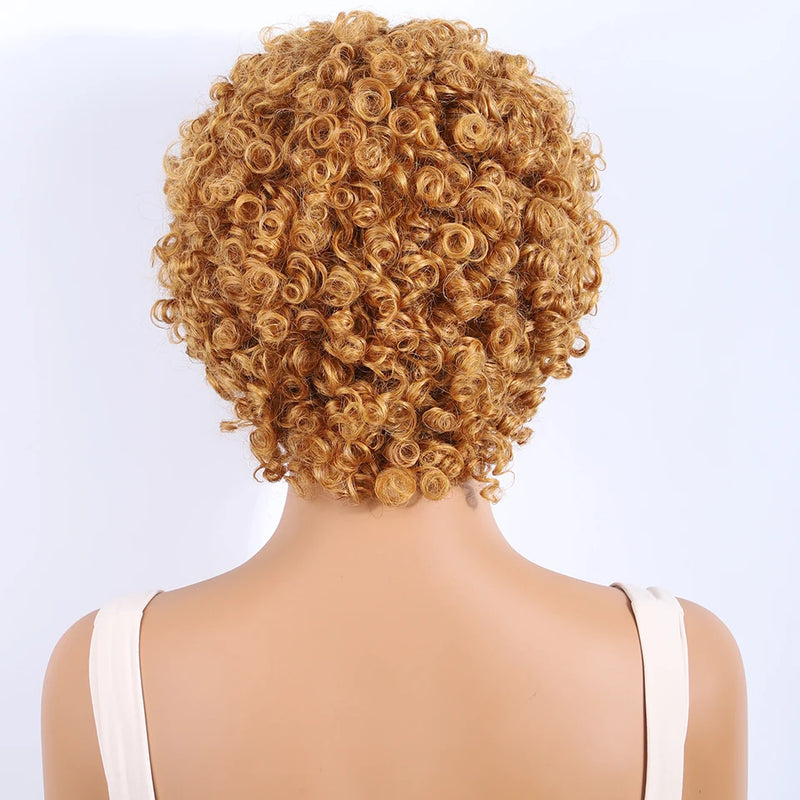 Lekker Black Short Pixie Cut Curly Bob 100% Human Hair Wigs For Women Brazilian Remy Hair Full Machine Made Glueless Daily Wigs