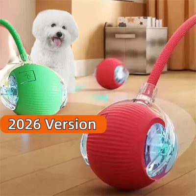 New Dog Interactive Ball Toy, Automatic Rolling | SAMAG