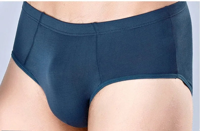 Top Qaulity ! Men Briefs Underwear Underpant Bamboo Fiber Brief 5pcs/lot  Free Shipping