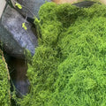 Green Fake Moss DIY Crafts Grass Artificial Moss Faux Preserved Moss Green Plant Home Room Garden Decor Landscape Fake Grass