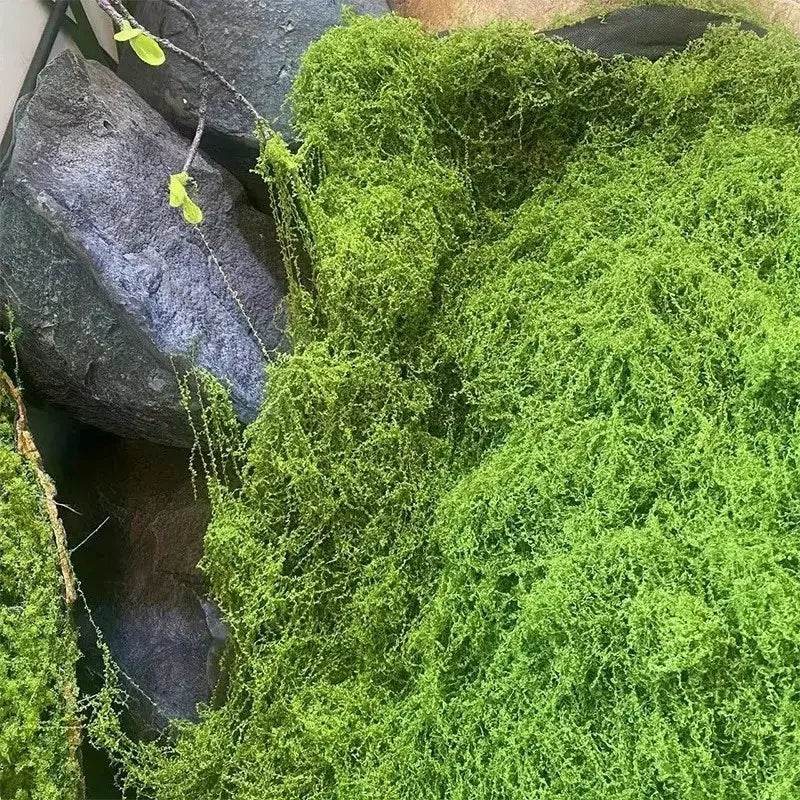 Green Fake Moss DIY Crafts Grass Artificial Moss Faux Preserved Moss Green Plant Home Room Garden Decor Landscape Fake Grass
