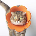 Pets Protective Collar EVA Soft Flower Shape Anti-lick Cats Dogs Wound Healing Protection Cover Anti-bite Animal Supplies