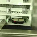 Customized Automatic Hot Food Vending Machine Smart Dispenser With Microwave for Cooked Meals Pizza Burgers and Boxed Lunches