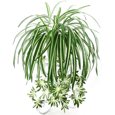 Artificial Plants Wall Hanging Chlorophytum Potted Green | SAMAG
