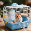 Water Bottle for Hamster Ferrets Water Dispenser No Drip Drinker Small Accessories for Cage Gerbil Dwarf Hamster Hedgehog Pet