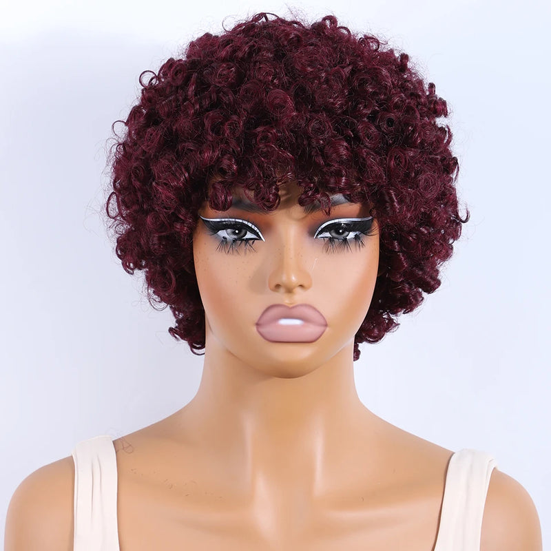 Lekker Black Short Pixie Cut Curly Bob 100% Human Hair Wigs For Women Brazilian Remy Hair Full Machine Made Glueless Daily Wigs