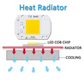 10W 20W 30W 50W AC220V  LED COB chip Engine Smart IC Chips For DIY LED Floodlight Spotlight Lamp