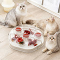 Interactive Feline Brain-Teaser Toy Mental Stimulation Feline Maze Toy Pet Accessory Multi-Function Anti-Choking for Kittens