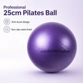 25cm Mini Yoga Ball Fitness Pilates Reduce Fat Ball Thick Explosion-proof PVC Non Slip Gym Home Training Workout Exercise Ball