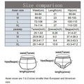 Women's Panties Sexy Lace Transparent Underwear Hollow Out Female Low Waist Briefs Breathable Lingerie Intimates Underpants