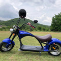 2000W Large Wheel Electric Scooter