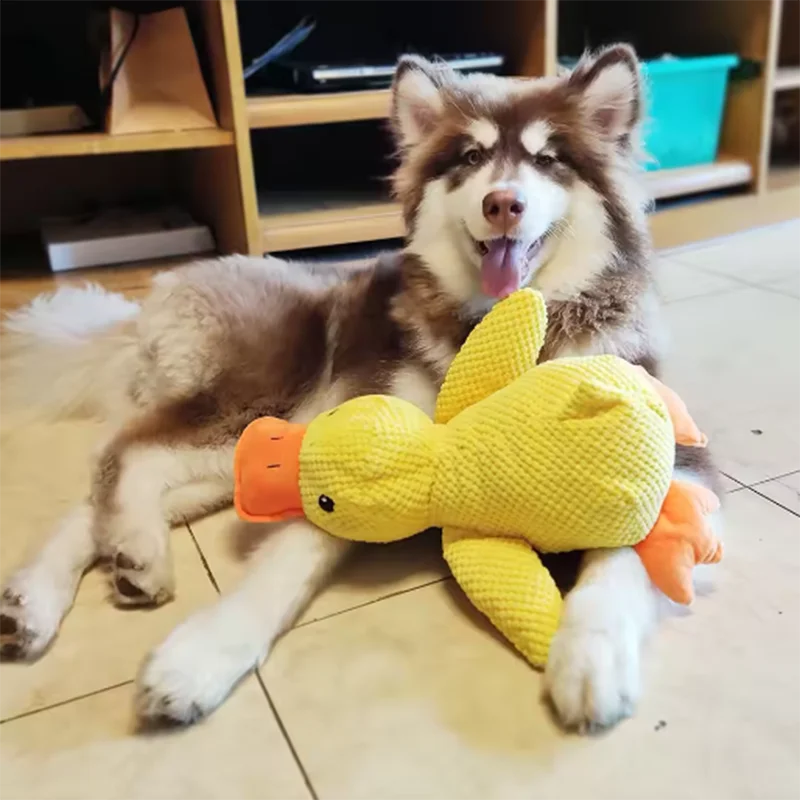 Hot dog sleeping with duck toys to relieve boredom of little yellow duck pet puppy interactive plush doll hug duck