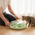 Interactive Feline Brain-Teaser Toy Mental Stimulation Feline Maze Toy Pet Accessory Multi-Function Anti-Choking for Kittens