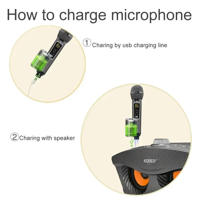 SDRD Sd306plus 30W Home Theater Sound PA System Portable Bluetooth Speakers With Two Wireless Microphones Set TV Karaoke Player