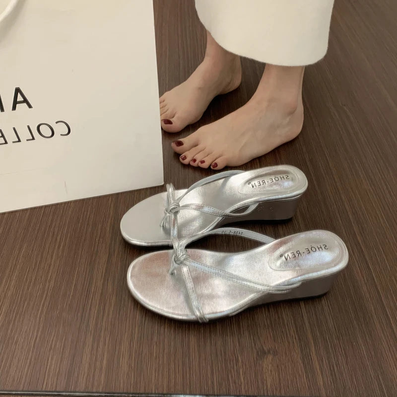 Summer Women Fashion Slippers Female Casual Clip Toe Wedges Heel Dress Slides Ladies Outdoor Beach Vacation Sandalias Shoes